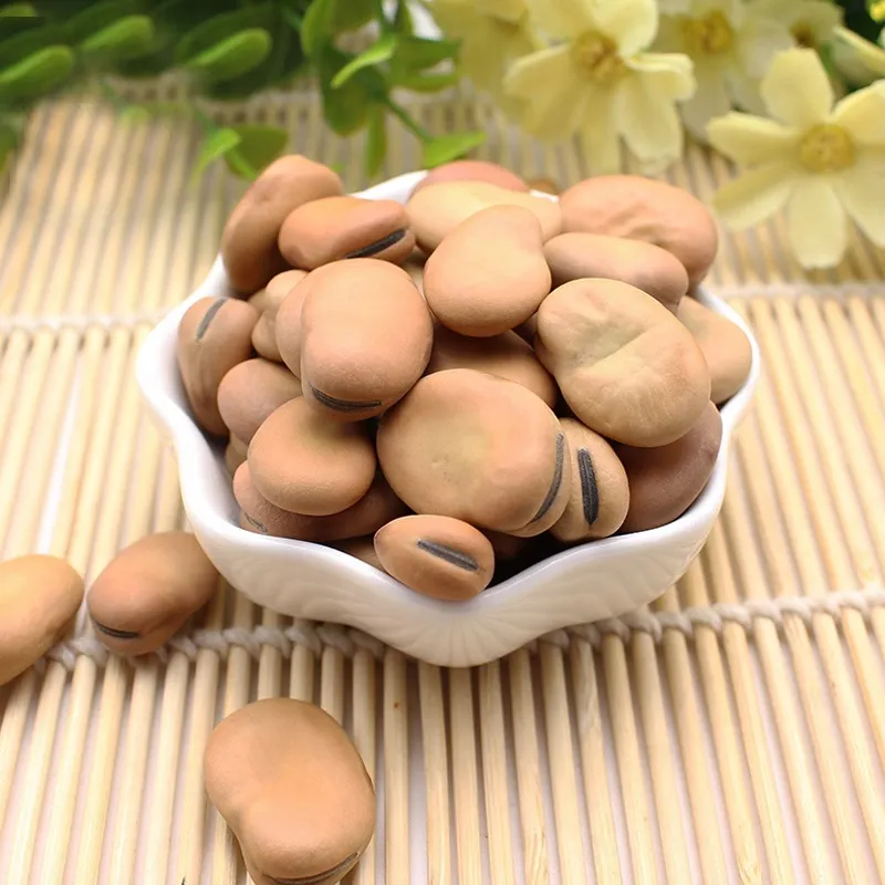 Broad Beans Hot Sale for Export