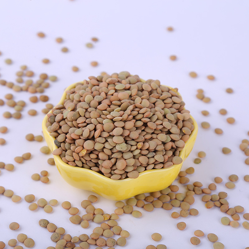 Bulk A Grade Lentils with Cheap Price on Hot Selling