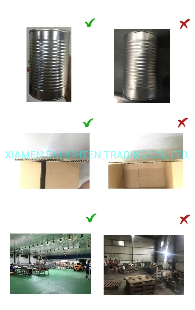 Canned Bamboo Shoot Halved/Sliced in Water with Competitive Price