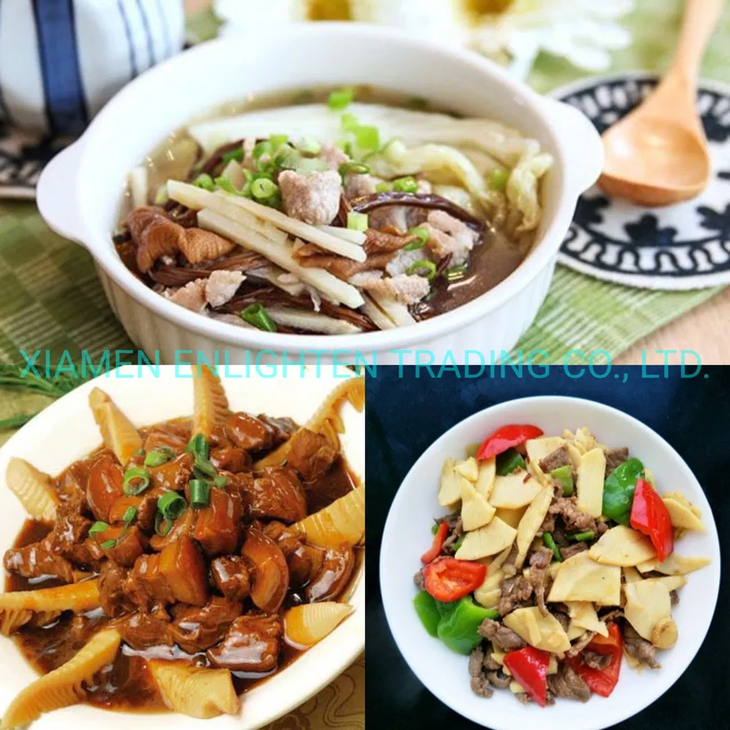 Canned Bamboo Shoot Halved/Sliced in Water with Competitive Price