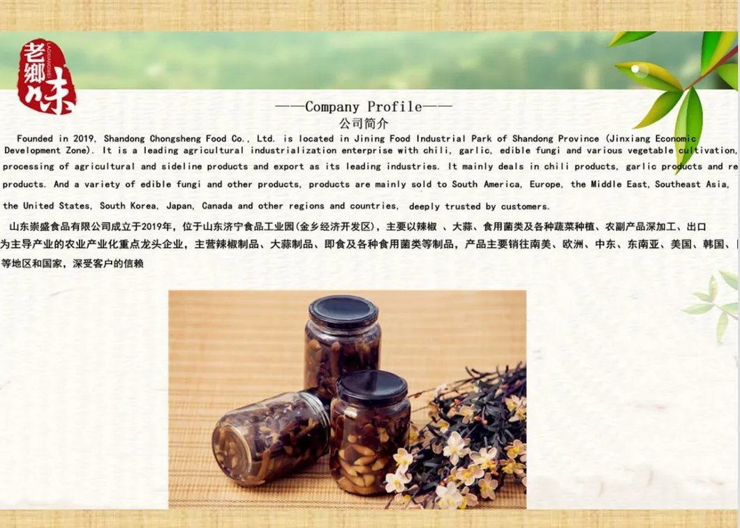 Canned Chicken Fir Fungus Whole/ Pns / Slice in Tin Packing