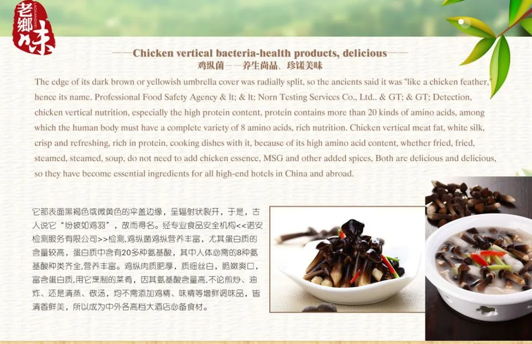 Canned Chicken Fir Fungus Whole/ Pns / Slice in Tin Packing