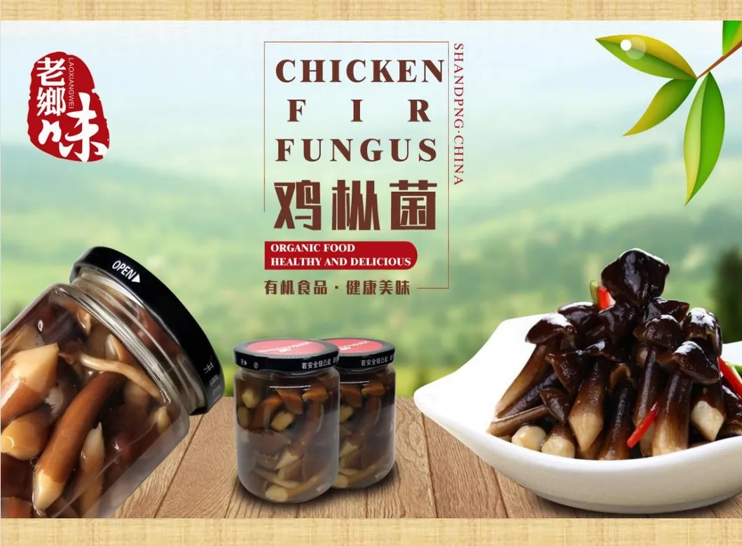 Canned Chicken Fir Fungus Whole/ Pns / Slice in Tin Packing