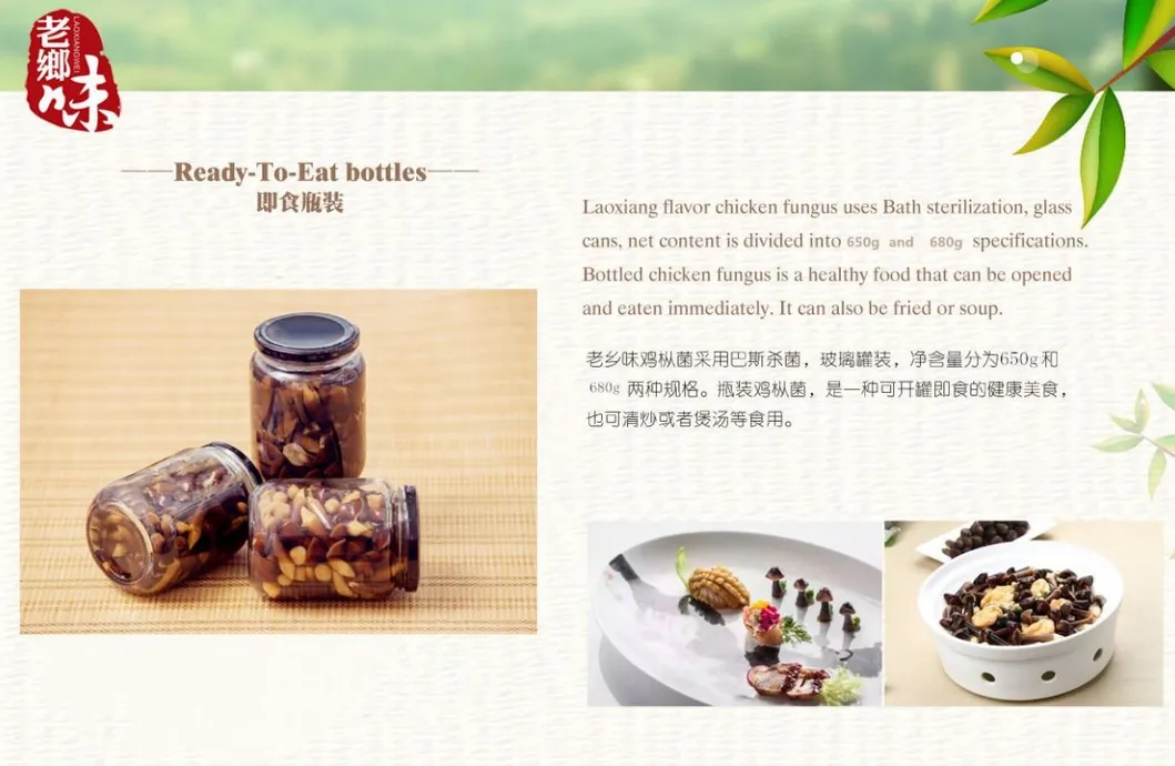 Canned Chicken Fir Fungus Whole/ Pns / Slice in Tin Packing