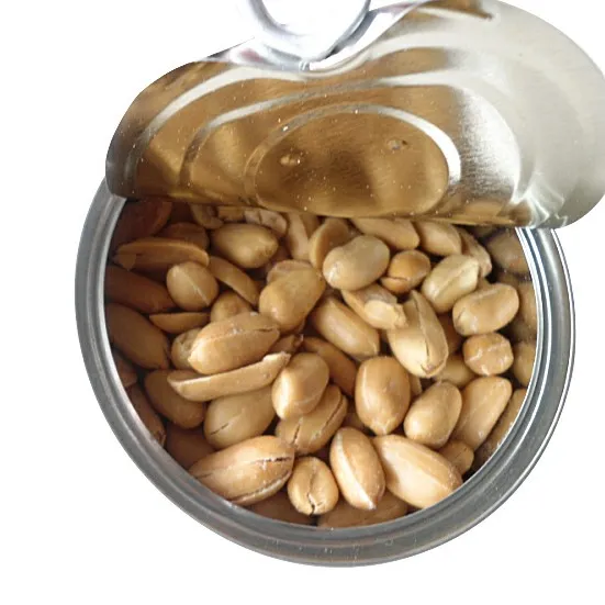 Canned Fried and Salted Peanuts