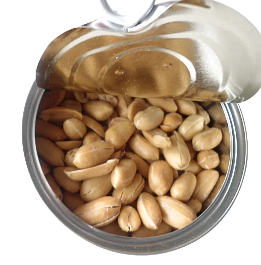 Canned Fried and Salted Peanuts