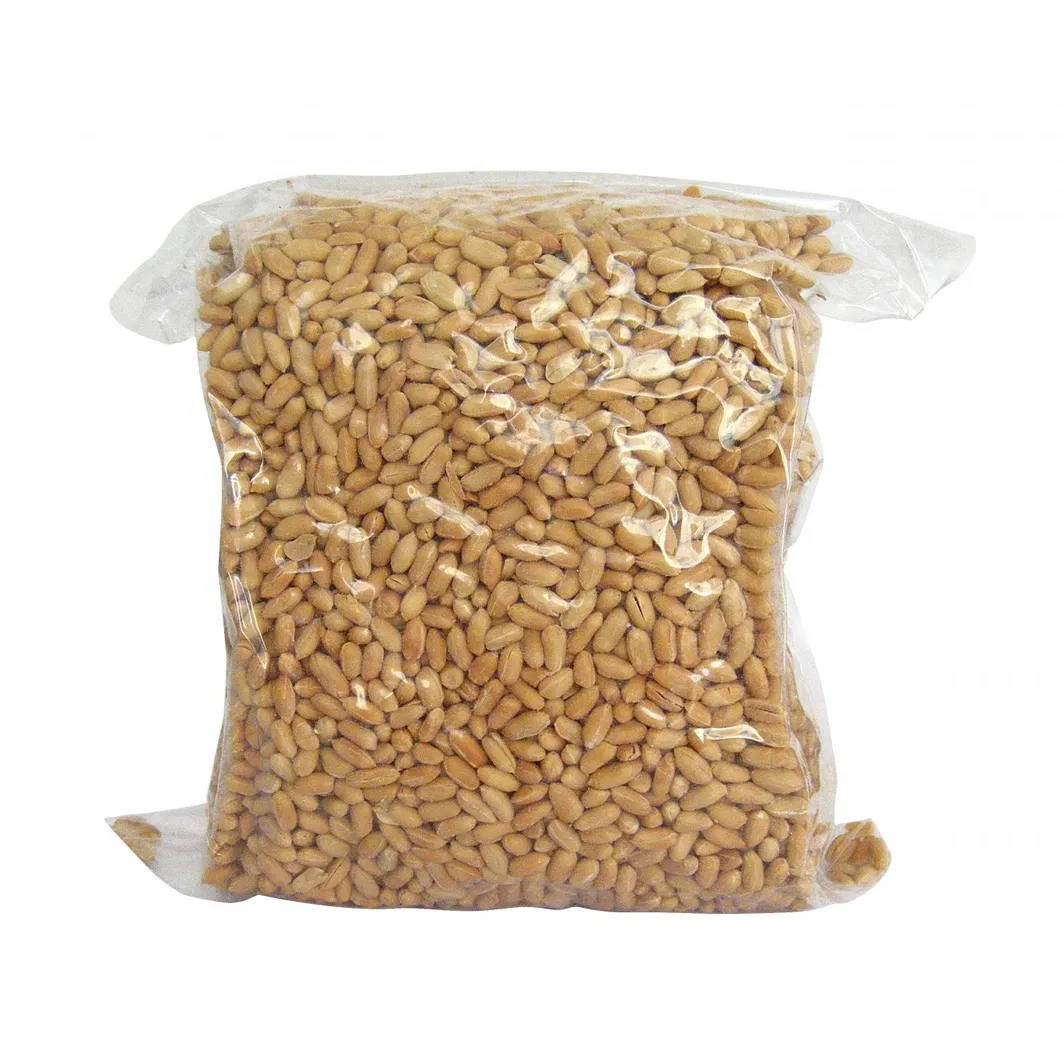 Canned Fried and Salted Peanuts