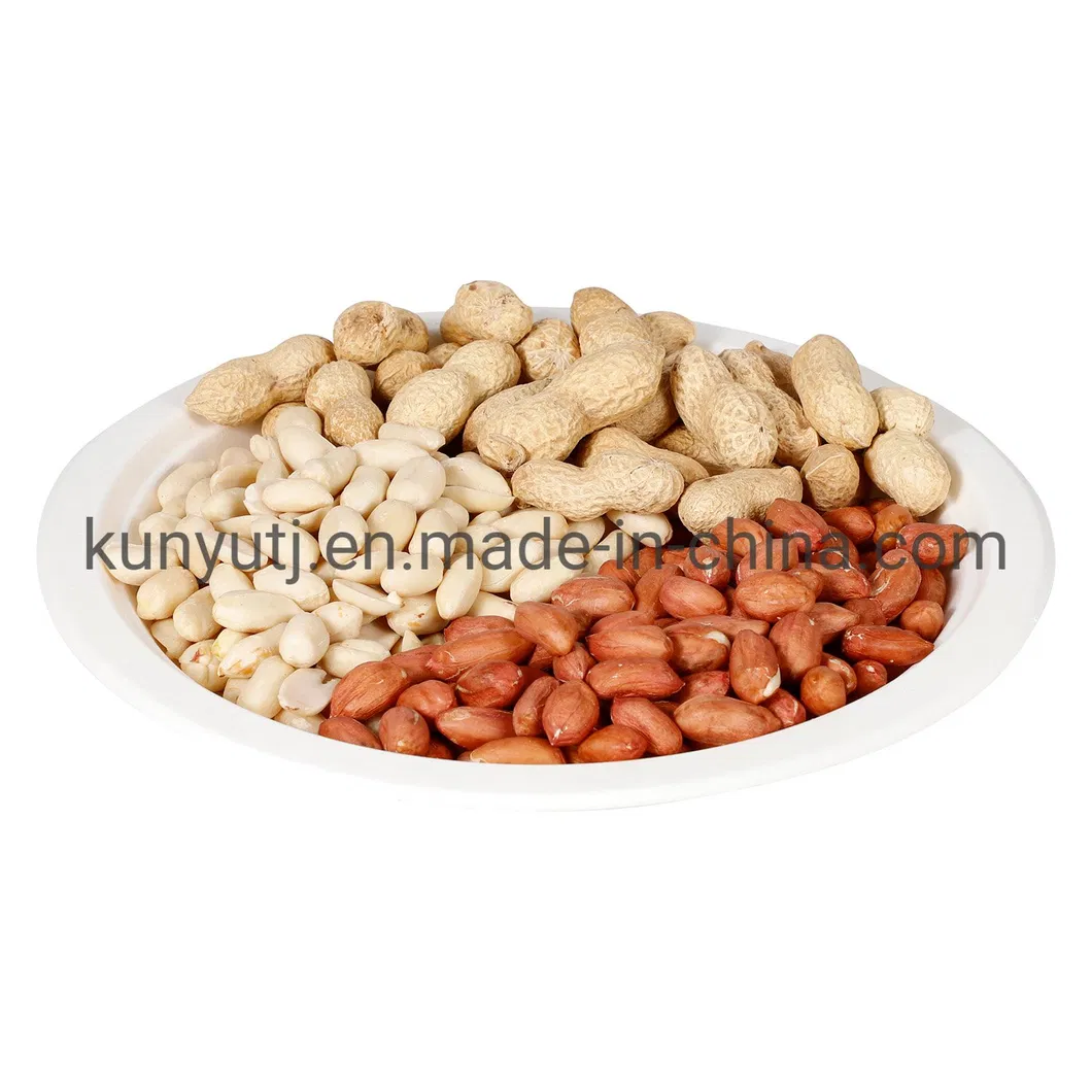 Canned Fried Peanuts with High Quality