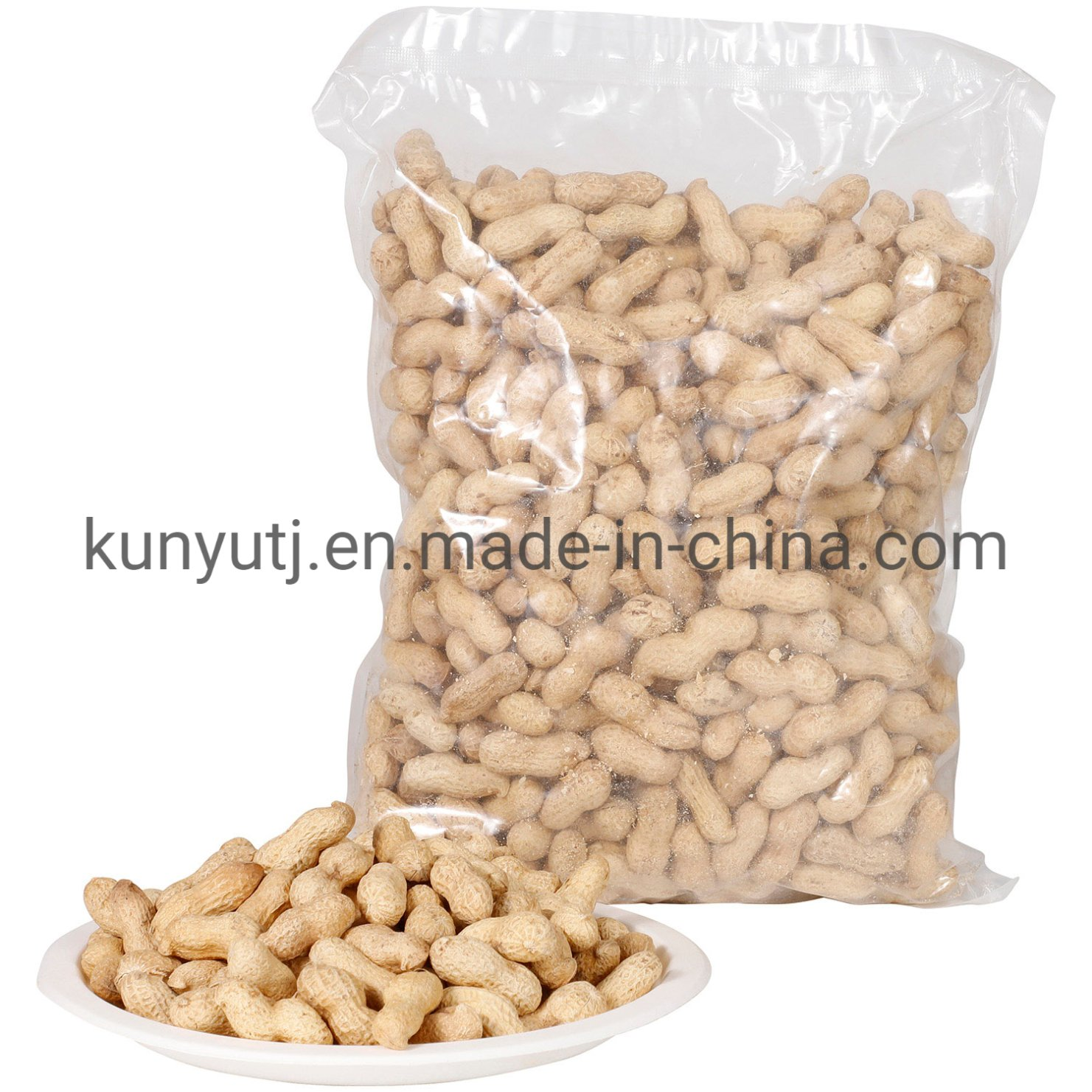Canned Fried Peanuts with High Quality