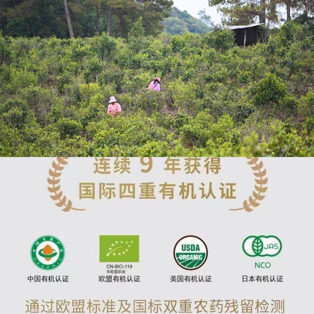 Cheap Tea Price Bulk #4 Yunnan Menghai Loose Shu Puer for Weight Loss Ripe Puer Tea