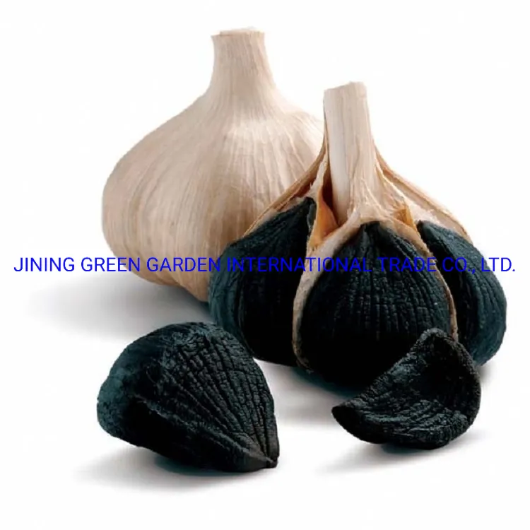 China Black Garlic, Healthy of Natural Organic Fermented Multifid Black Garlic for Making Melanin