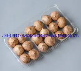 China Black Garlic, Healthy of Natural Organic Fermented Multifid Black Garlic for Making Melanin