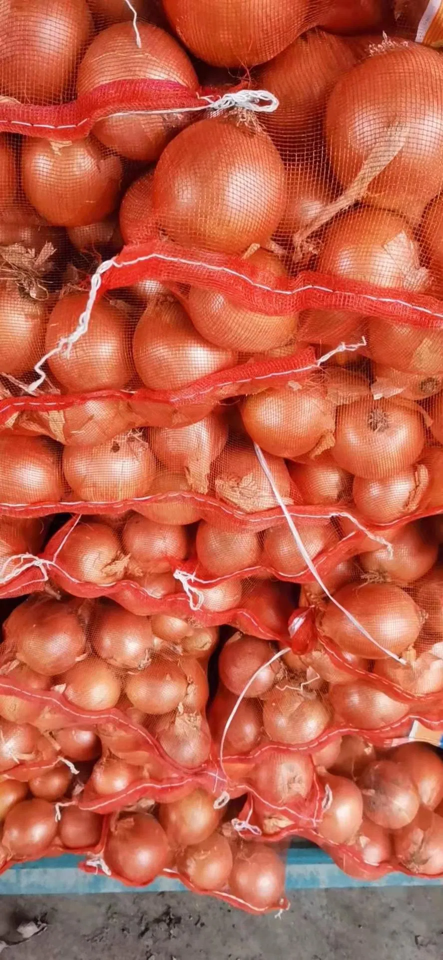 China Chinese 2021 New Red Onion 5-8cm, 3-7cm, 8cm up Peeled Onion Top Quality Low Price Experience processor Good Reputation Supplier Yellow Onion White Onion
