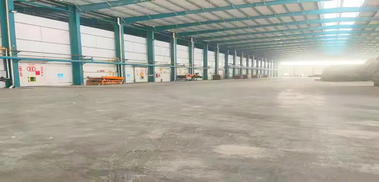 China Freeze Dried Chives, Green Onion