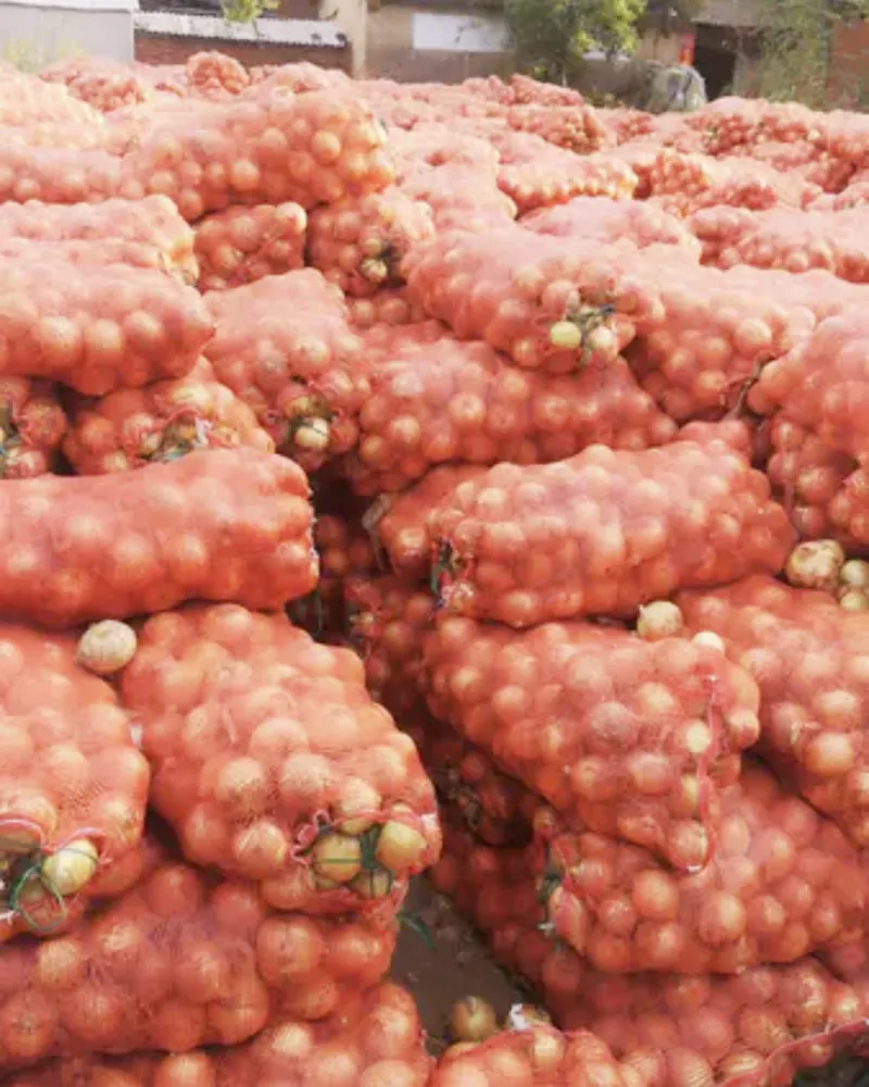 China Freeze Dried Chives, Green Onion