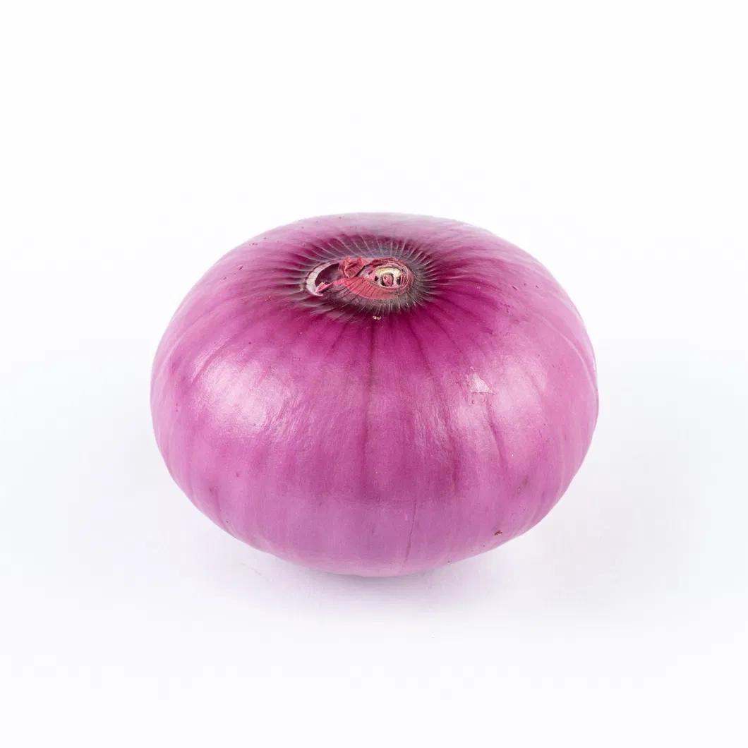 China Freeze Dried Chives, Green Onion