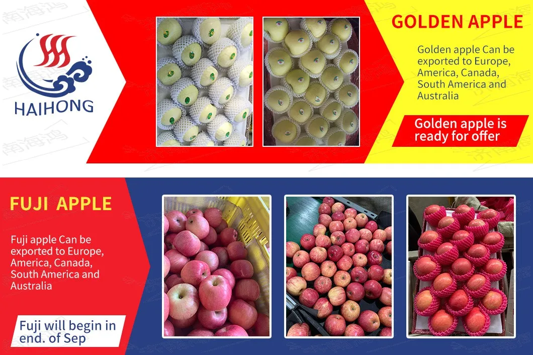 China Fresh Sweet Delicious Red with More Juicy Fruit