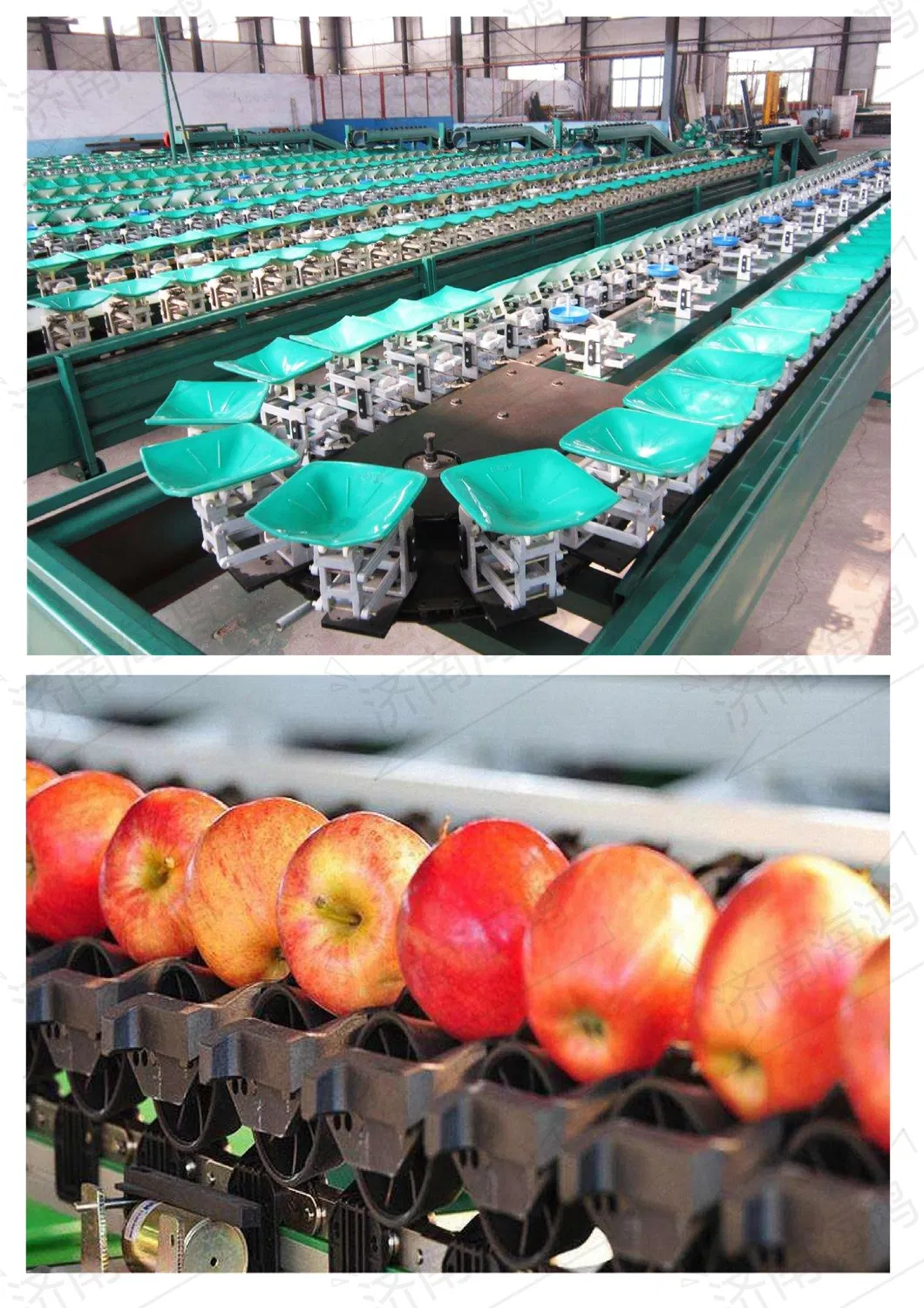 China Fresh Sweet Delicious Red with More Juicy Fruit