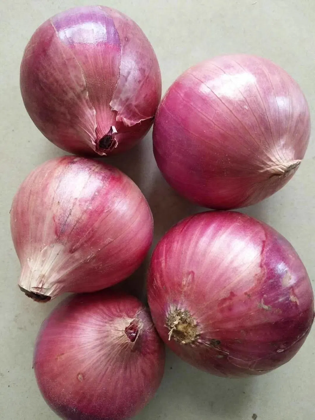 China Fresh Yellow Onion 5-7cm