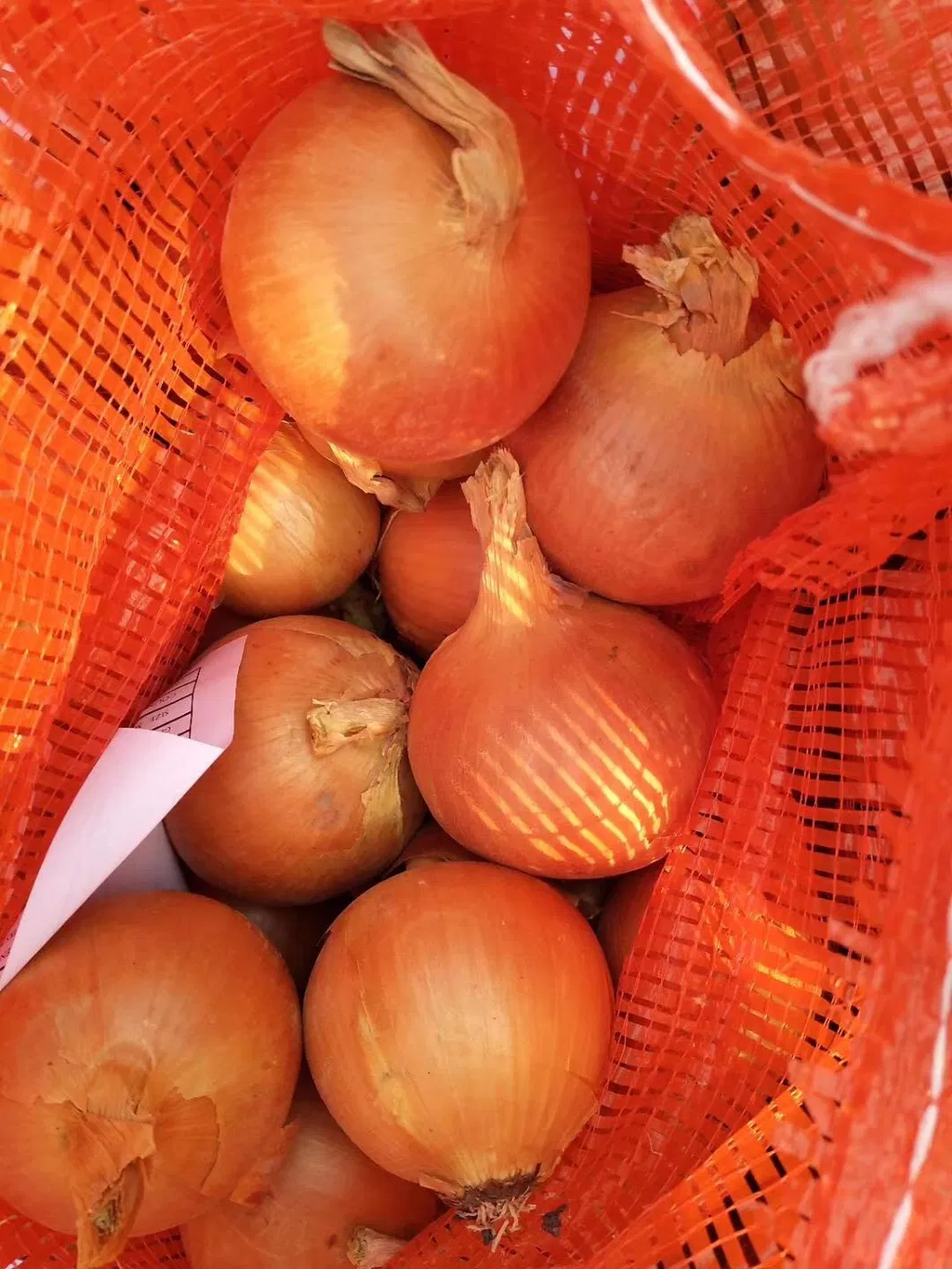 China Fresh Yellow Onion 5-7cm