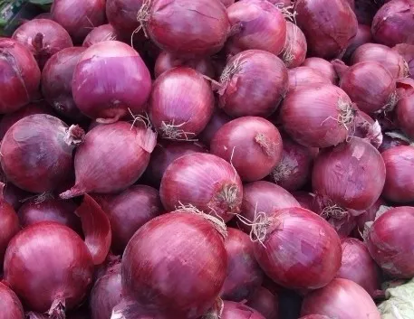 China Fresh Yellow Onion 5-7cm