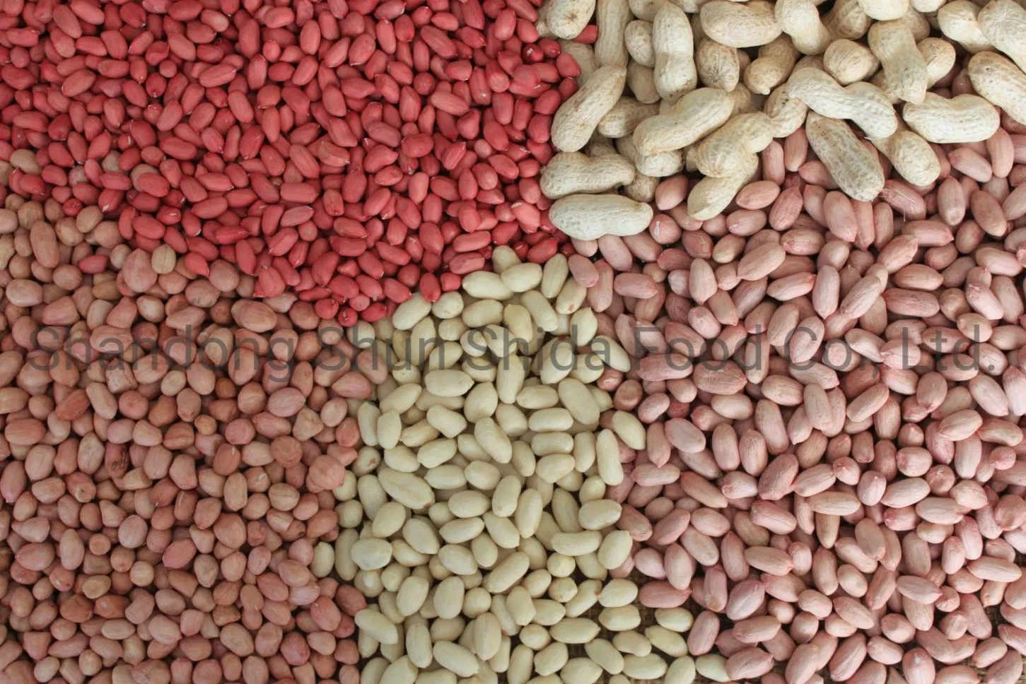 China Raw Peanut Kernels 24/28 to Used in Food