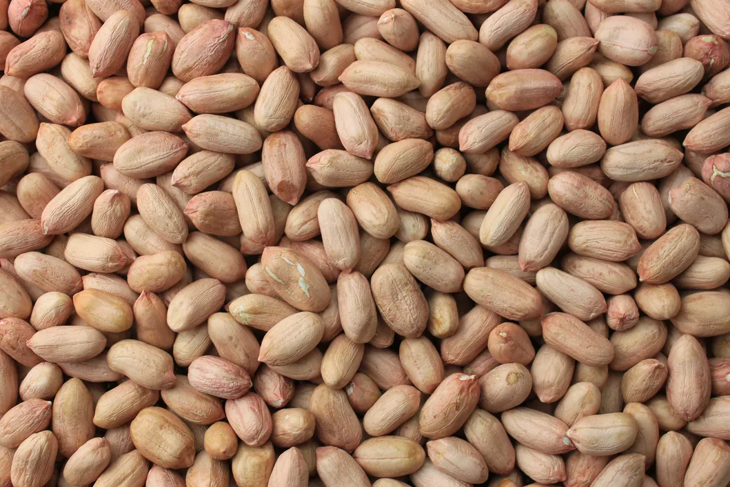 China Raw Peanut Kernels 24/28 to Used in Food