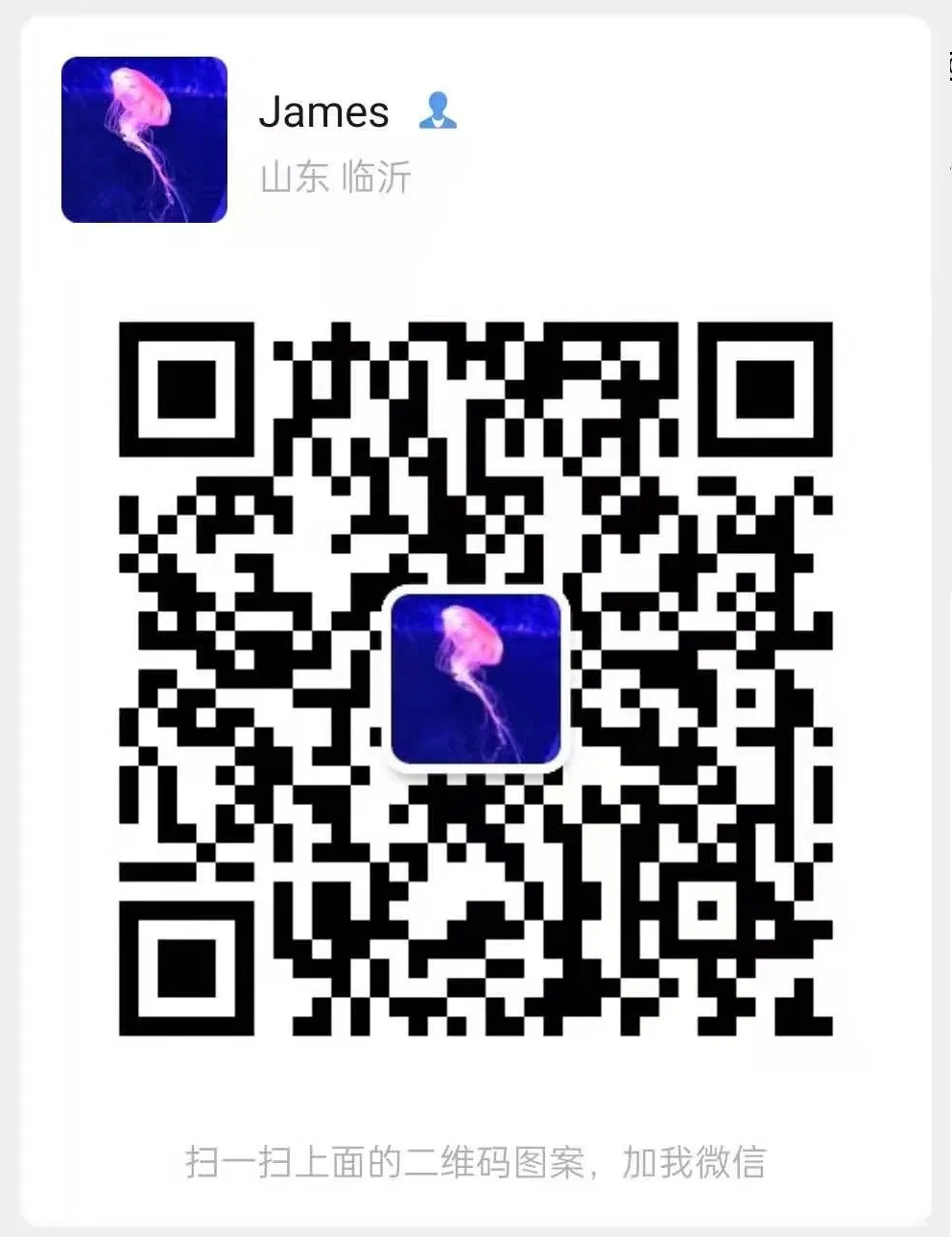 China Raw Peanut Kernels 24/28 to Used in Food