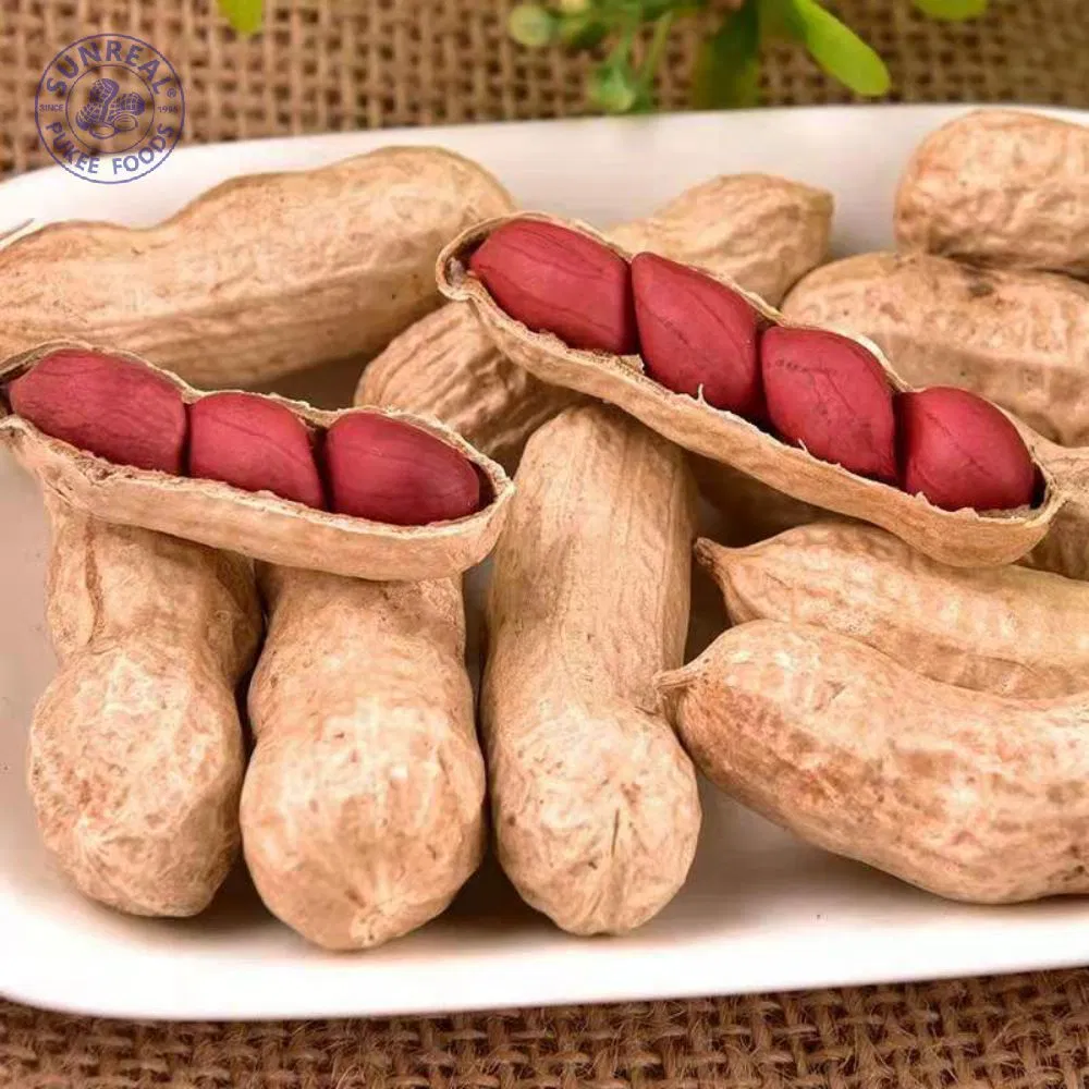 China Red Skin Peanut Kernels 50/60