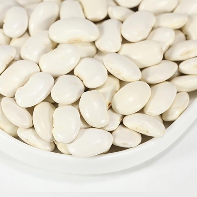 China Small White Kidney Beans at a Factory Price