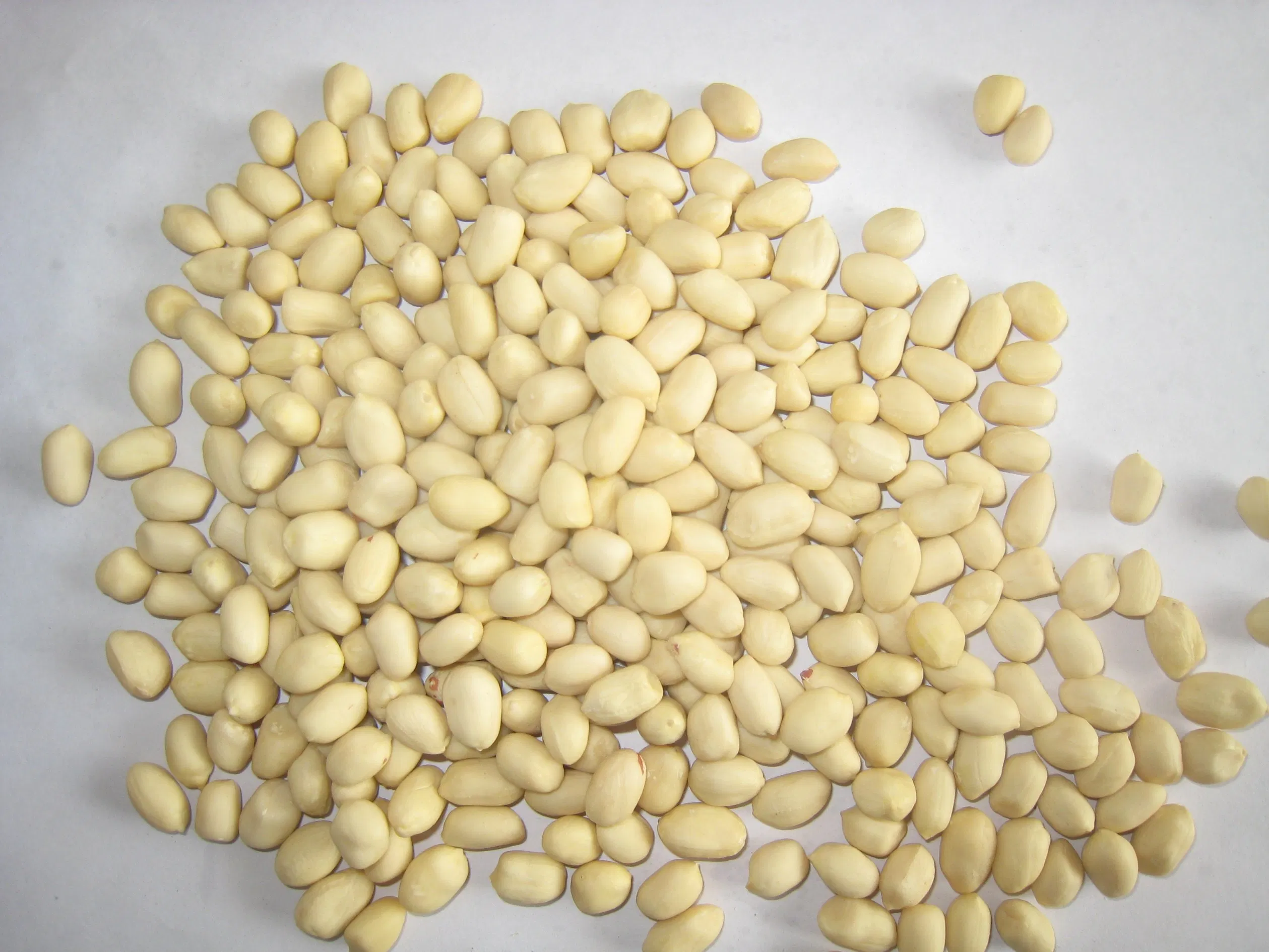 China White Blanched Peanut Kernel