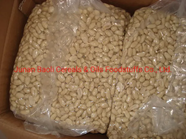 China White Blanched Peanut Kernel