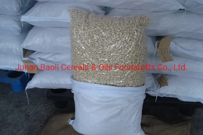 China White Blanched Peanut Kernel
