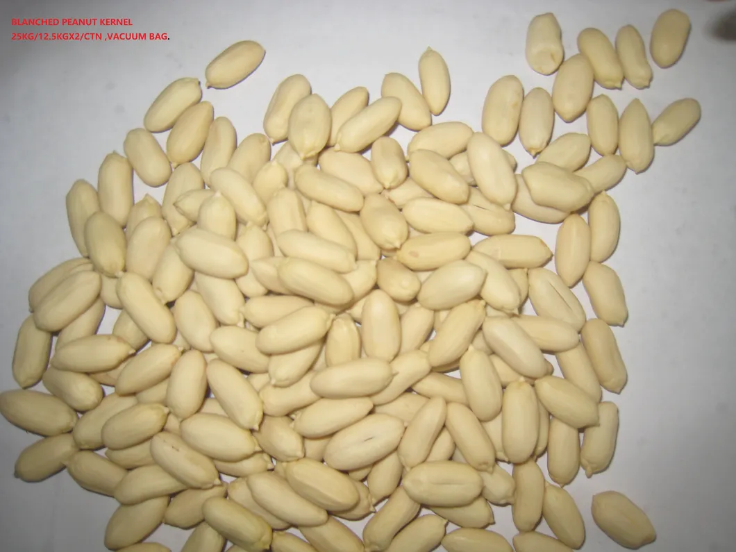 China White Blanched Peanut Kernel