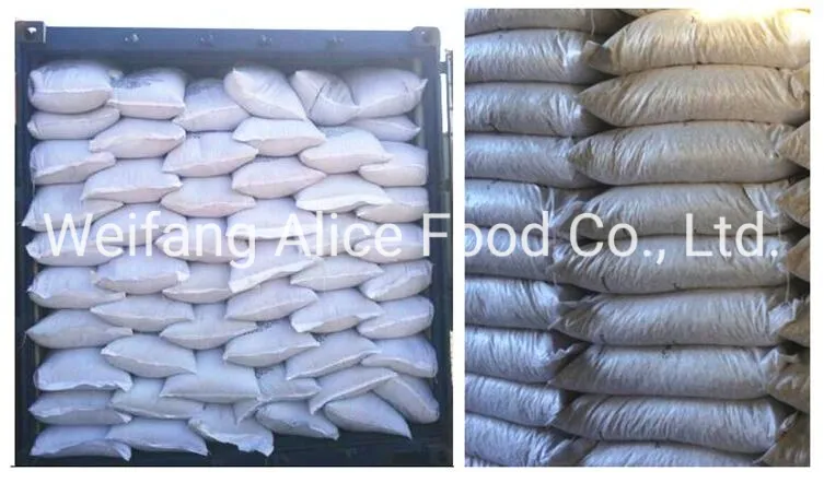 China Wholesale Bulk Quality Halal Kosher Certificated GWS Pumpkin Seeds Kernels