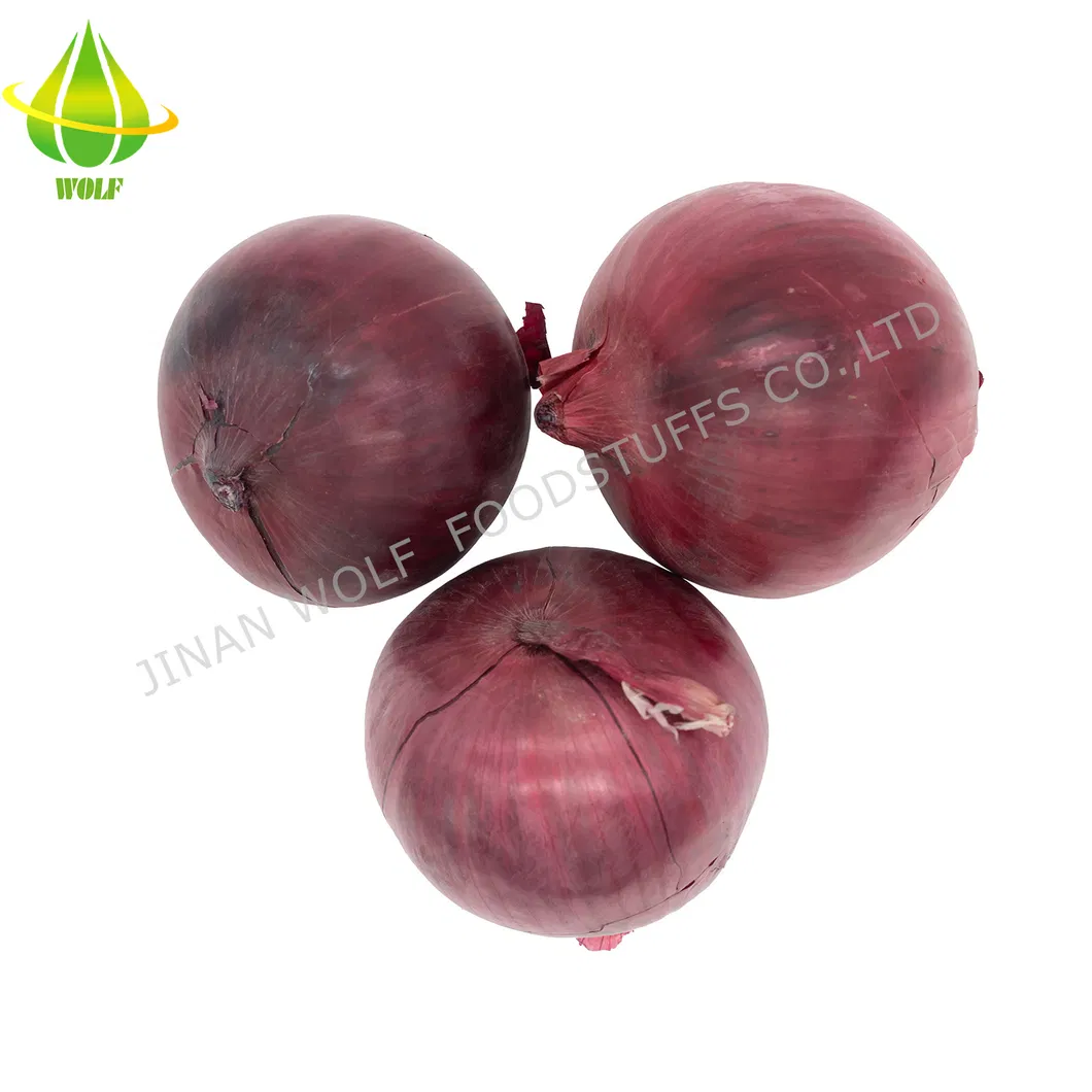 Chinese 5cm 6cm 7cm 8cm up Fresh Purple Onion