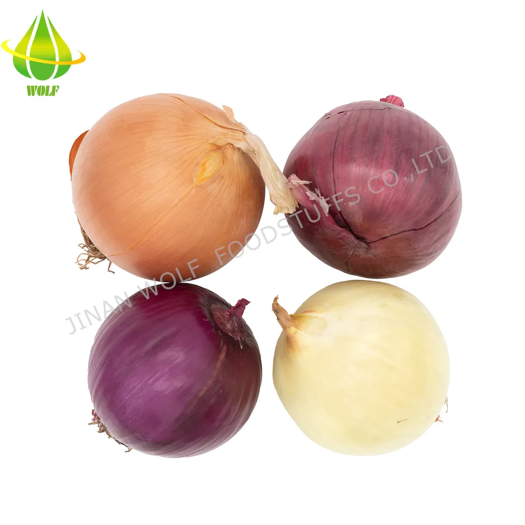 Chinese 5cm 6cm 7cm 8cm up Fresh Purple Onion