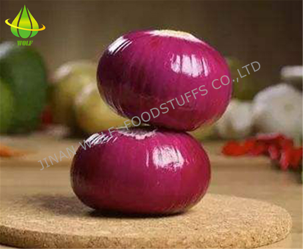 Chinese 5cm 6cm 7cm 8cm up Fresh Purple Onion