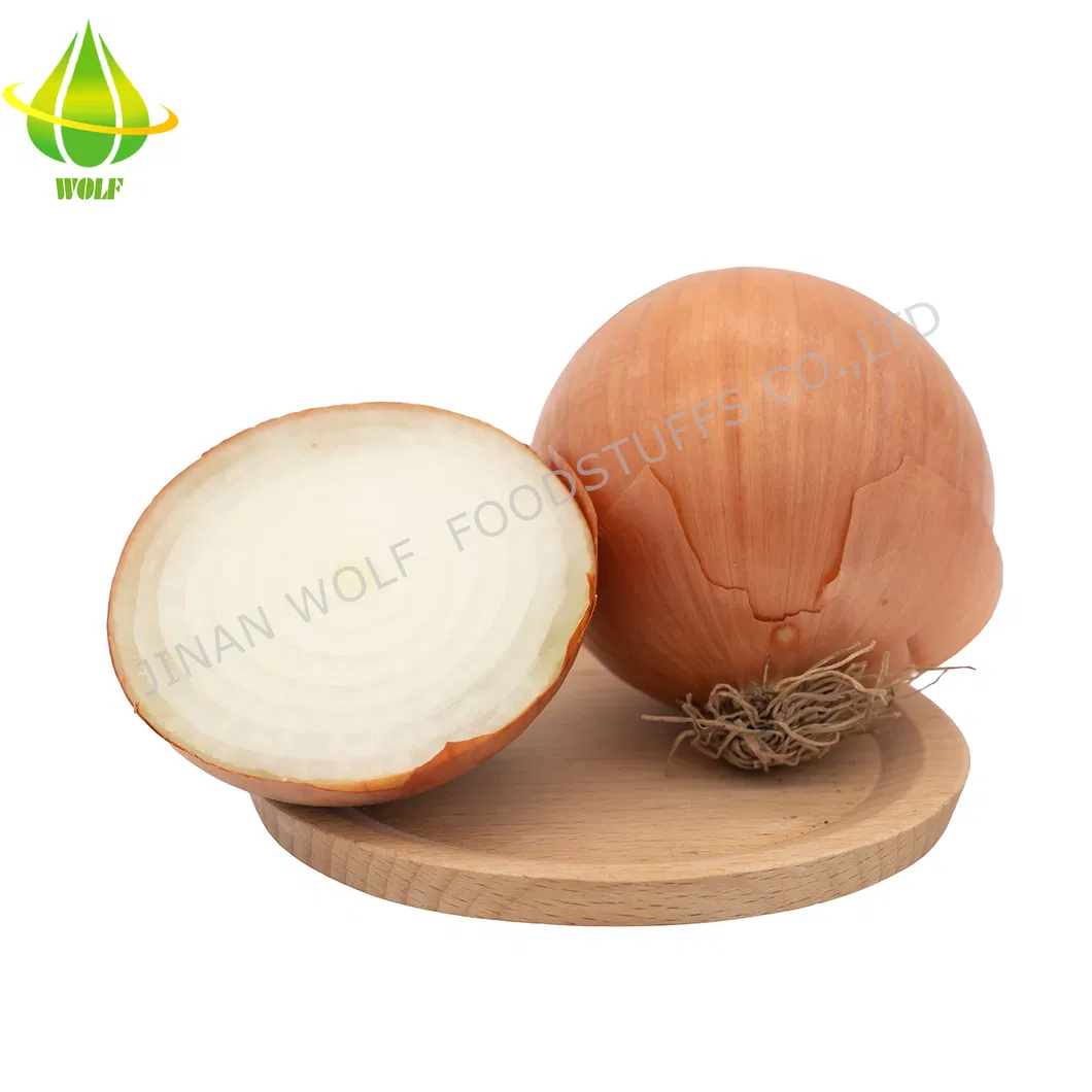 Chinese 5cm 6cm 7cm 8cm up Fresh Purple Onion