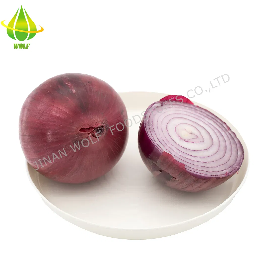 Chinese 5cm 6cm 7cm 8cm up Fresh Purple Onion