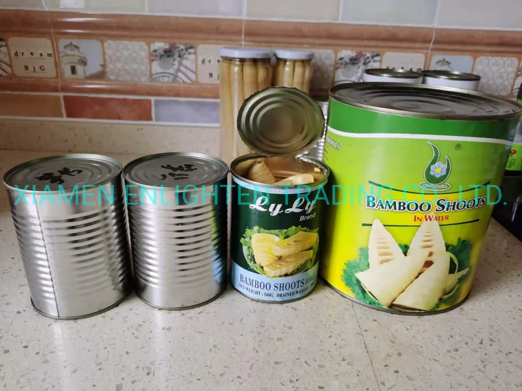 Chinese Characteristic Food Canned Bamboot Shoot in Brine