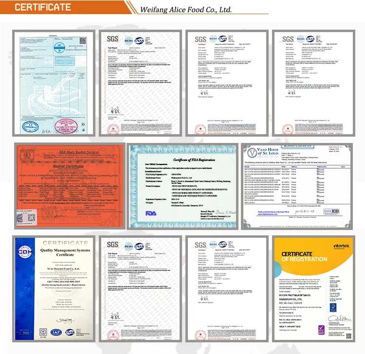 Chinese Dried Fruit Preserved Fruit Dried Mango Slice Dehydrated Mango