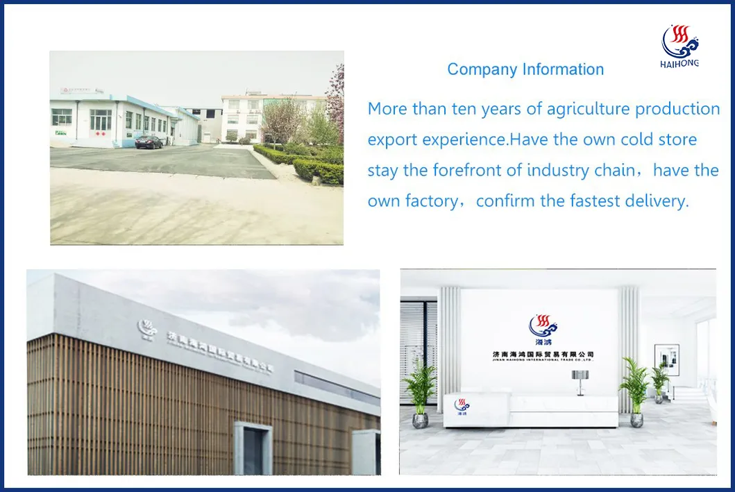 Chinese Freeze Dried Banana Chips with High Quality