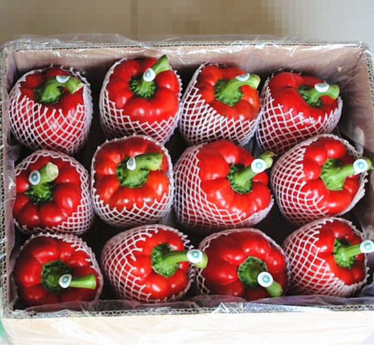 Chinese Fresh Capsicum /Fresh Bell Pepper/Yellow Capsicum /Red Capsicum /Green Capsicum