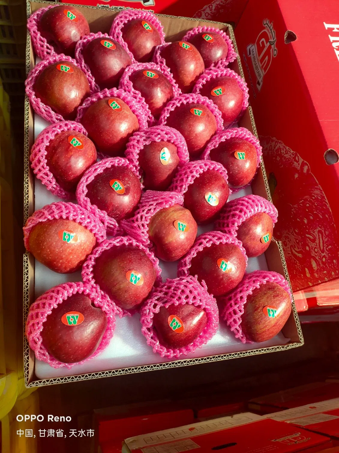Chinese Fresh Red Star Apple 16kg/17kg/20kg Cartons
