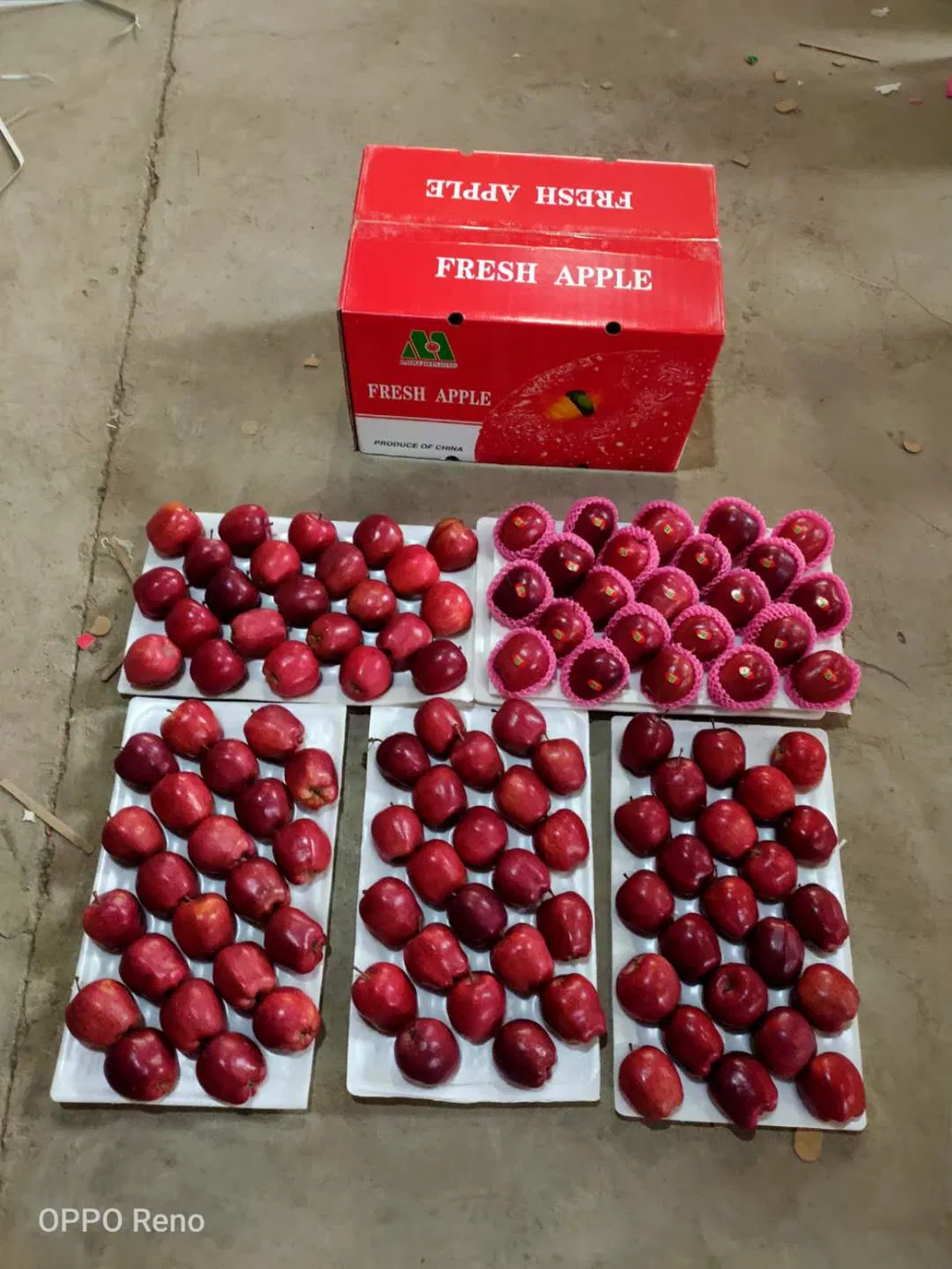 Chinese Fresh Red Star Apple 16kg/17kg/20kg Cartons