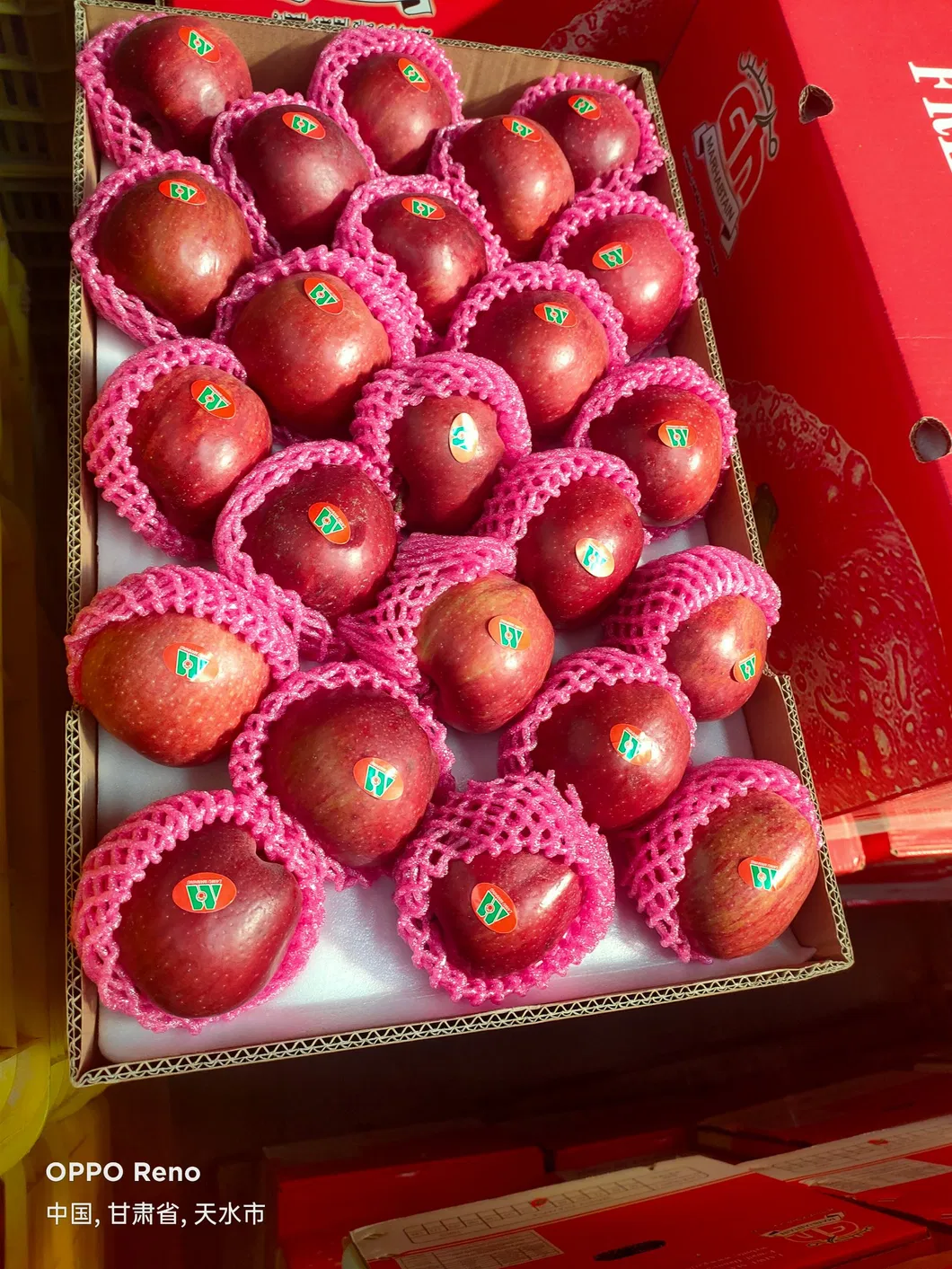 Chinese Fresh Red Star Apple 16kg/17kg/20kg Cartons