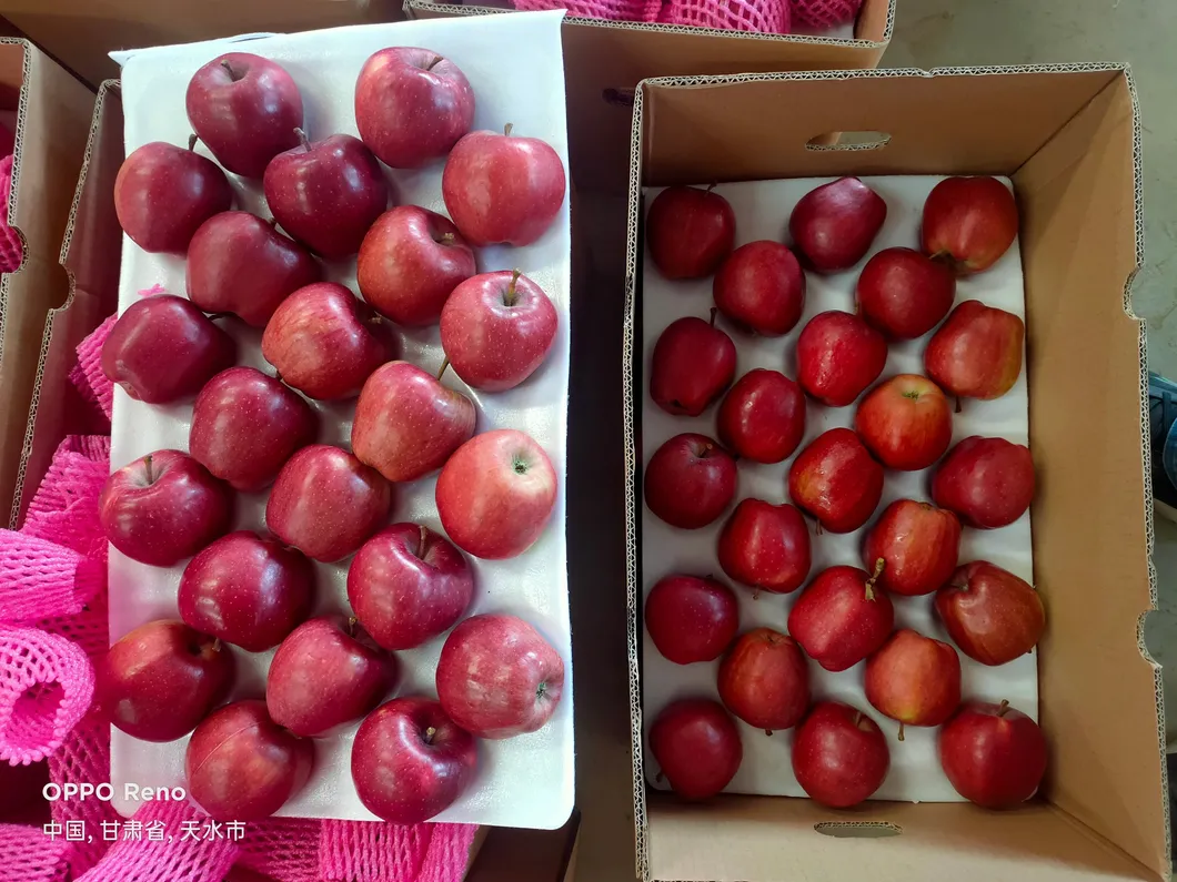 Chinese Fresh Red Star Apple 16kg/17kg/20kg Cartons