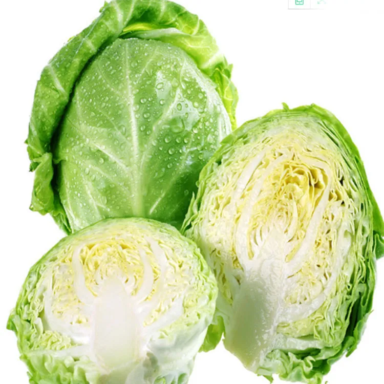 Chinese Fresh Vegetables Hot Sale Healthy Food Fresh Cabbage From China