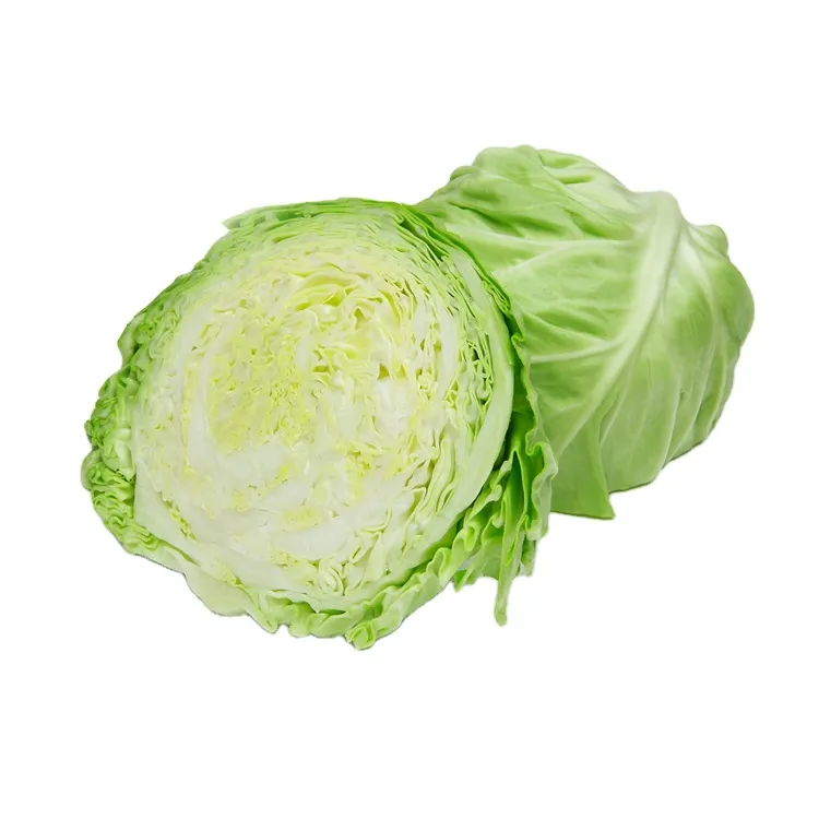 Chinese Fresh Vegetables Hot Sale Healthy Food Fresh Cabbage From China